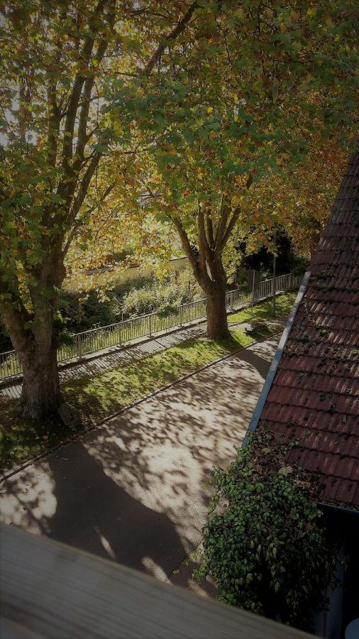 Lejlighed Haus Mit Seele Im Nahetal Weinsheim (Bad Kreuznach)