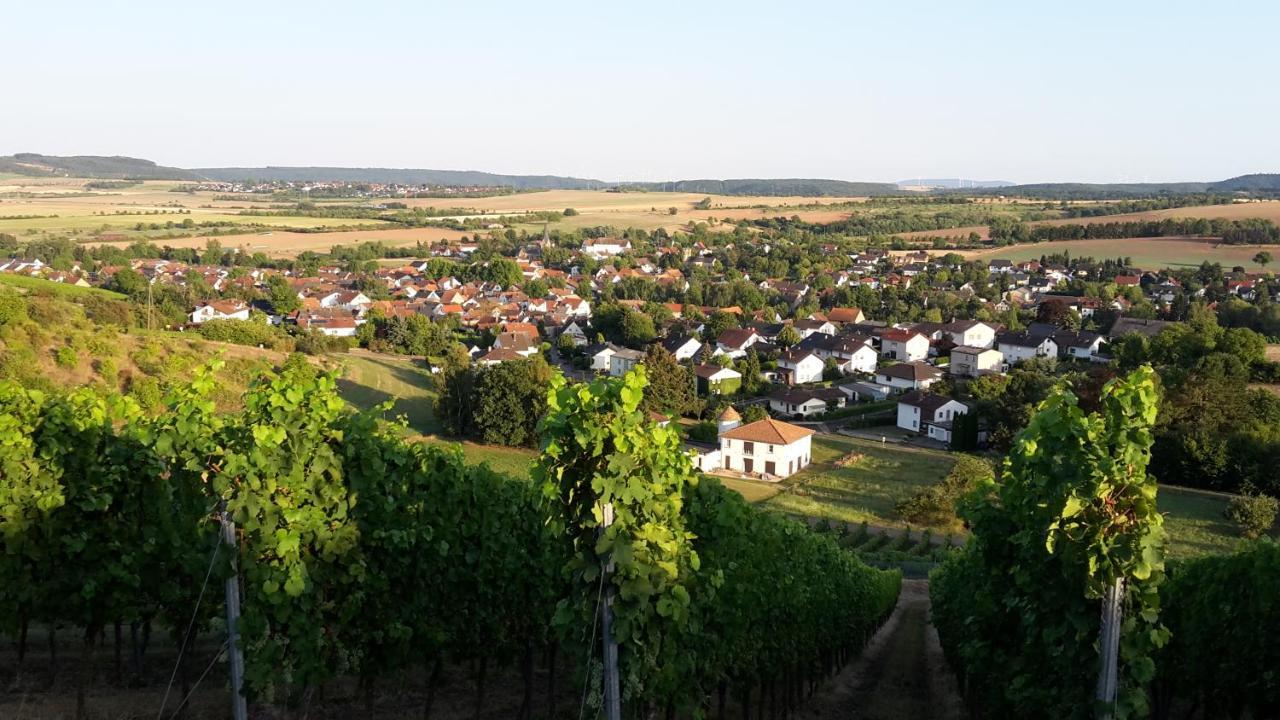 Haus Mit Seele Im Nahetal Lejlighed