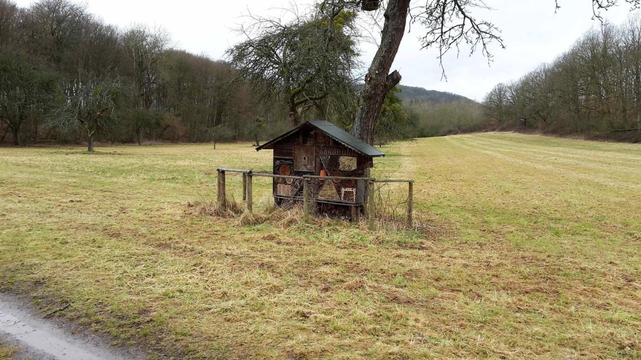 Haus Mit Seele Im Nahetal Lejlighed Weinsheim (Bad Kreuznach)