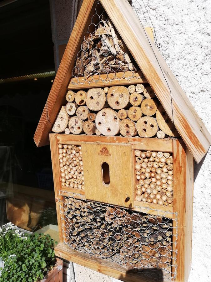 Haus Mit Seele Im Nahetal * Weinsheim (Bad Kreuznach)