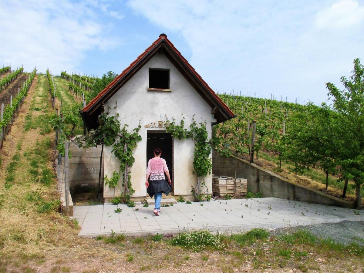 Haus Mit Seele Im Nahetal * Weinsheim (Bad Kreuznach)